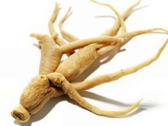 Ginseng erroa
