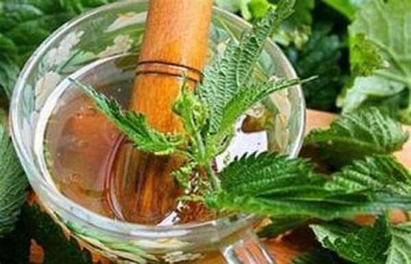 Nettle-k eragin onuragarria du potentzialtasunean